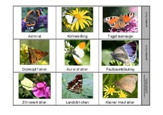 Leporello-Schmetterlinge-1.pdf